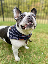 Load image into Gallery viewer, Spooky Scary